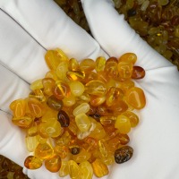 Loose Polished Baltic Amber Beads, Honey Cognac, 30-100g