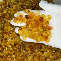 Loose Polished Baltic Amber Beads, Honey Cognac, 30-100g