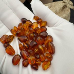 Polished Baltic Amber Beads: Cognac Brown, DIY Jewelry Making