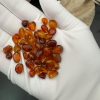 Polished Baltic Amber Beads: Cognac Brown, DIY Jewelry Making