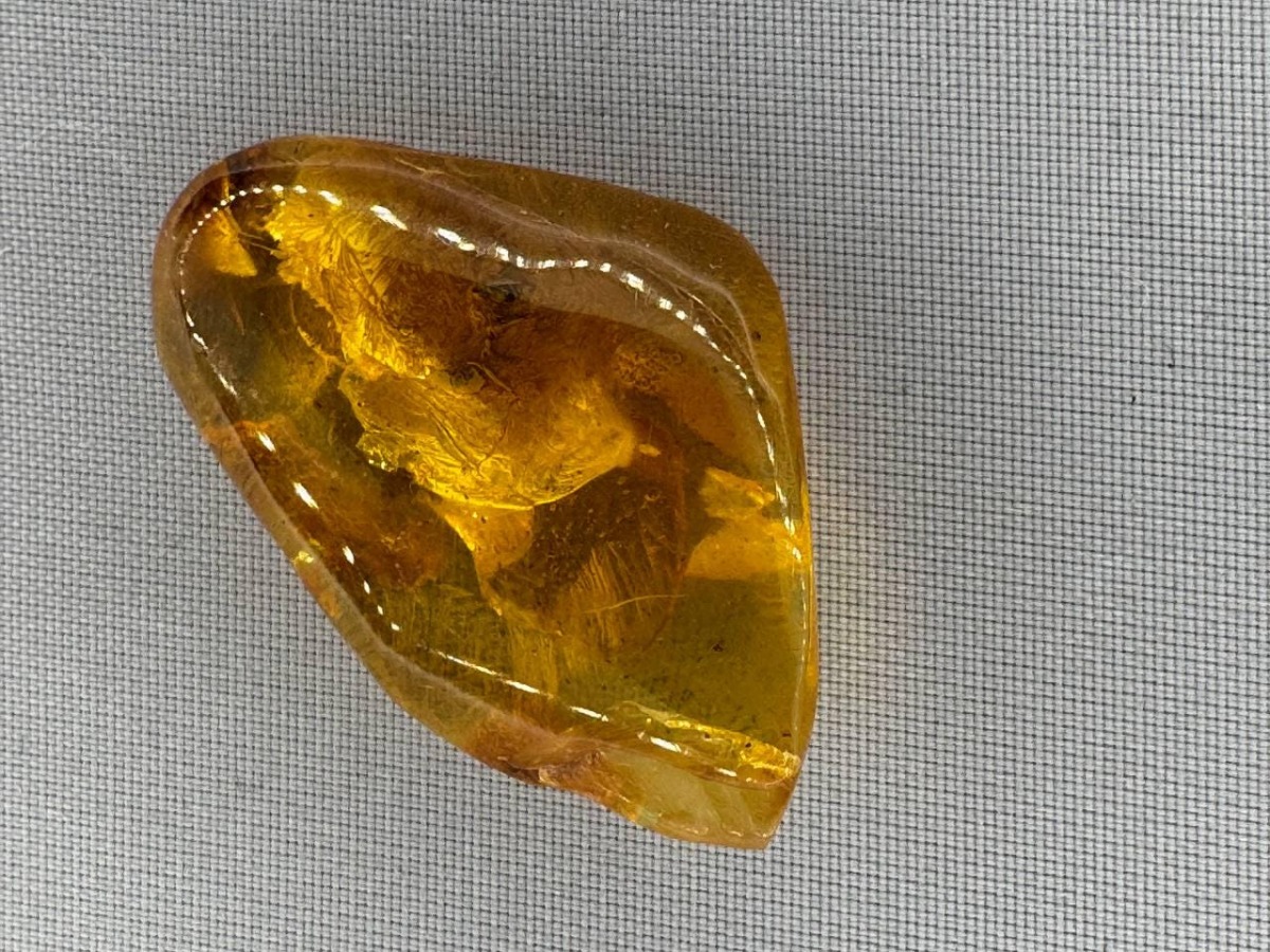 Baltic Amber with Ant Inclusion, Golden Honey, 2.1g