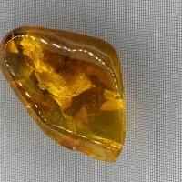 Baltic Amber with Ant Inclusion, Golden Honey, 2.1g