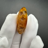 Baltic Amber with Gnat Inclusion, Honey Specimen, 3.4g