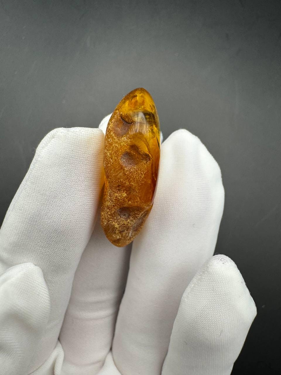 Baltic Amber with Gnat Inclusion, Honey Specimen, 3.4g