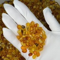 Loose Polished Baltic Amber Beads, Honey Cognac, 30-100g