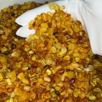 Loose Polished Baltic Amber Beads, Honey Cognac, 30-100g