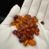 Polished Baltic Amber Beads: Cognac Brown, DIY Jewelry Making