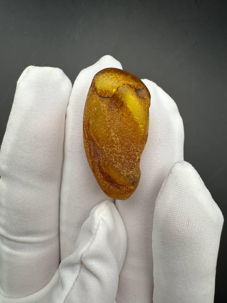 Baltic Amber with Gnat Inclusion, Honey Specimen, 3.4g