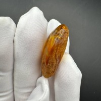 Baltic Amber with Gnat Inclusion, Honey Specimen, 3.4g