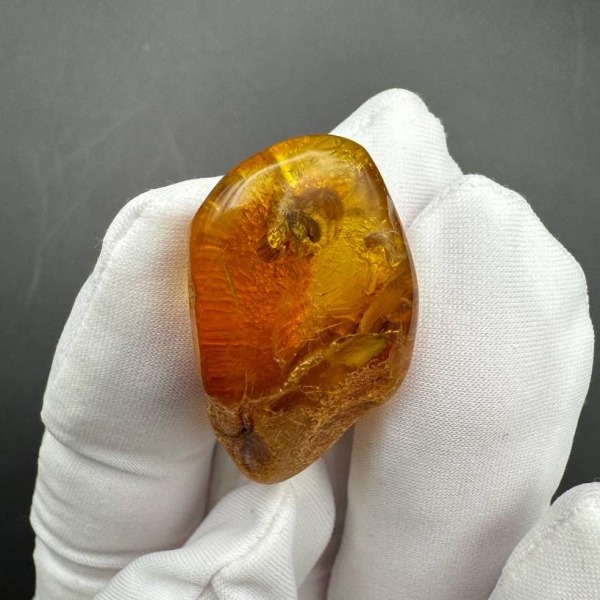 Baltic Amber with Gnat Inclusion, Honey Specimen, 3.4g