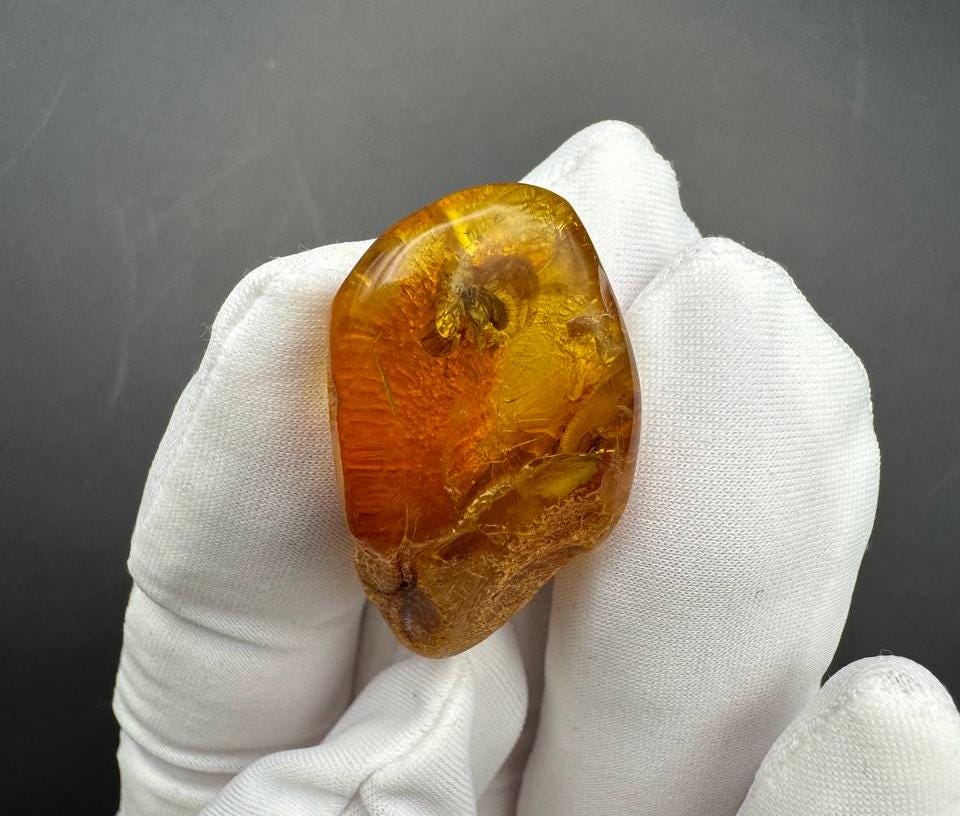 Baltic Amber with Gnat Inclusion, Honey Specimen, 3.4g