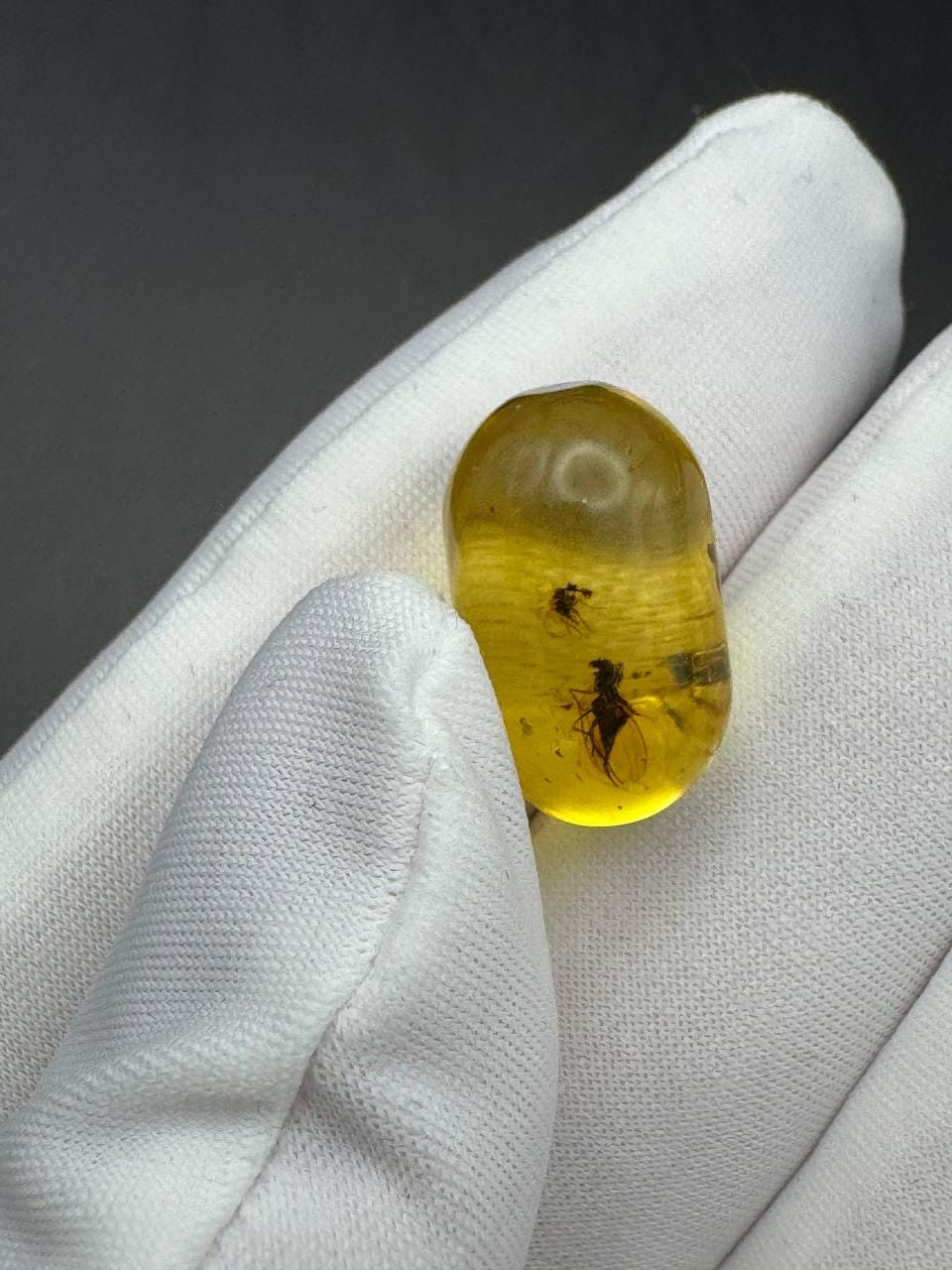 Baltic Amber Stone with Two Insect Inclusions, 19g