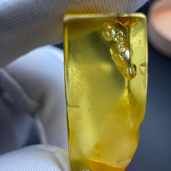 Baltic Amber with Water Inclusion, Rare Specimen, 1.5g