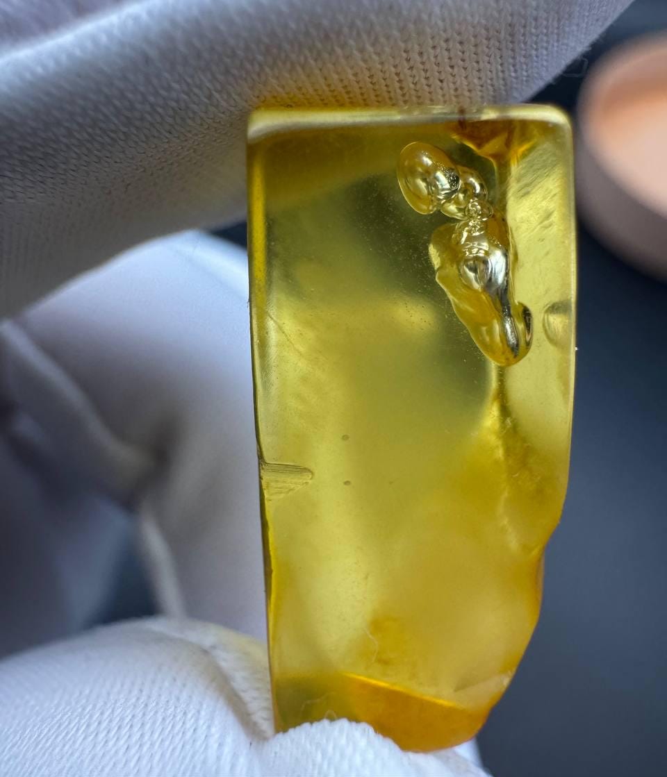 Baltic Amber with Water Inclusion, Rare Specimen, 1.5g