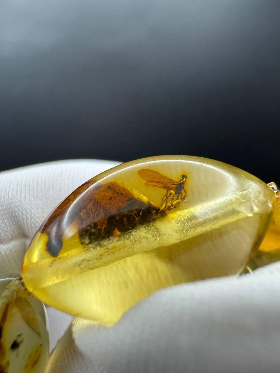 Honey Yellow Baltic Amber Bracelet with Insect Bead, 15g