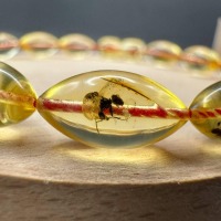 Baltic Amber Bracelet with Insect Inclusion Bead, 5.3g