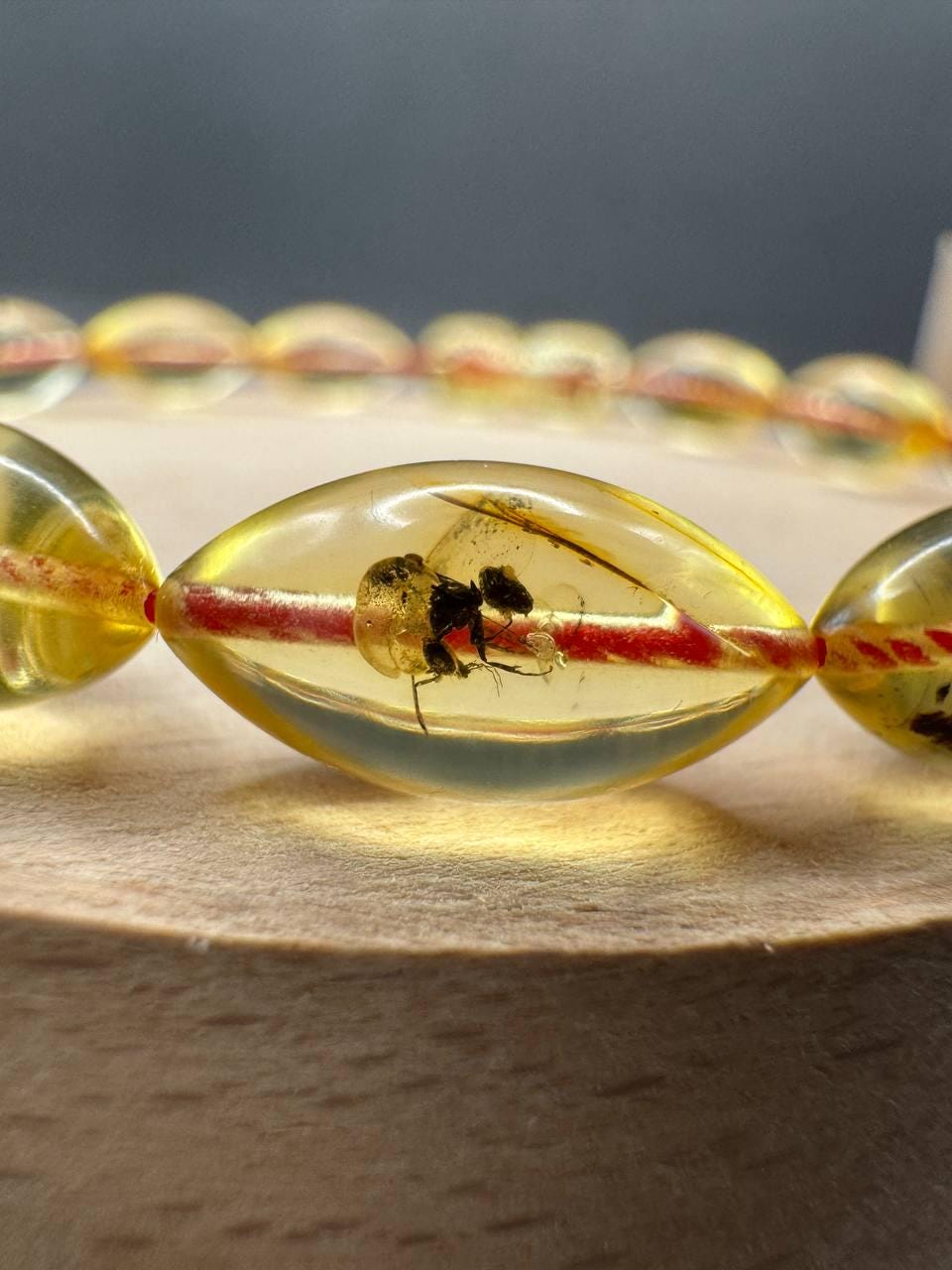 Baltic Amber Bracelet with Insect Inclusion Bead, 5.3g