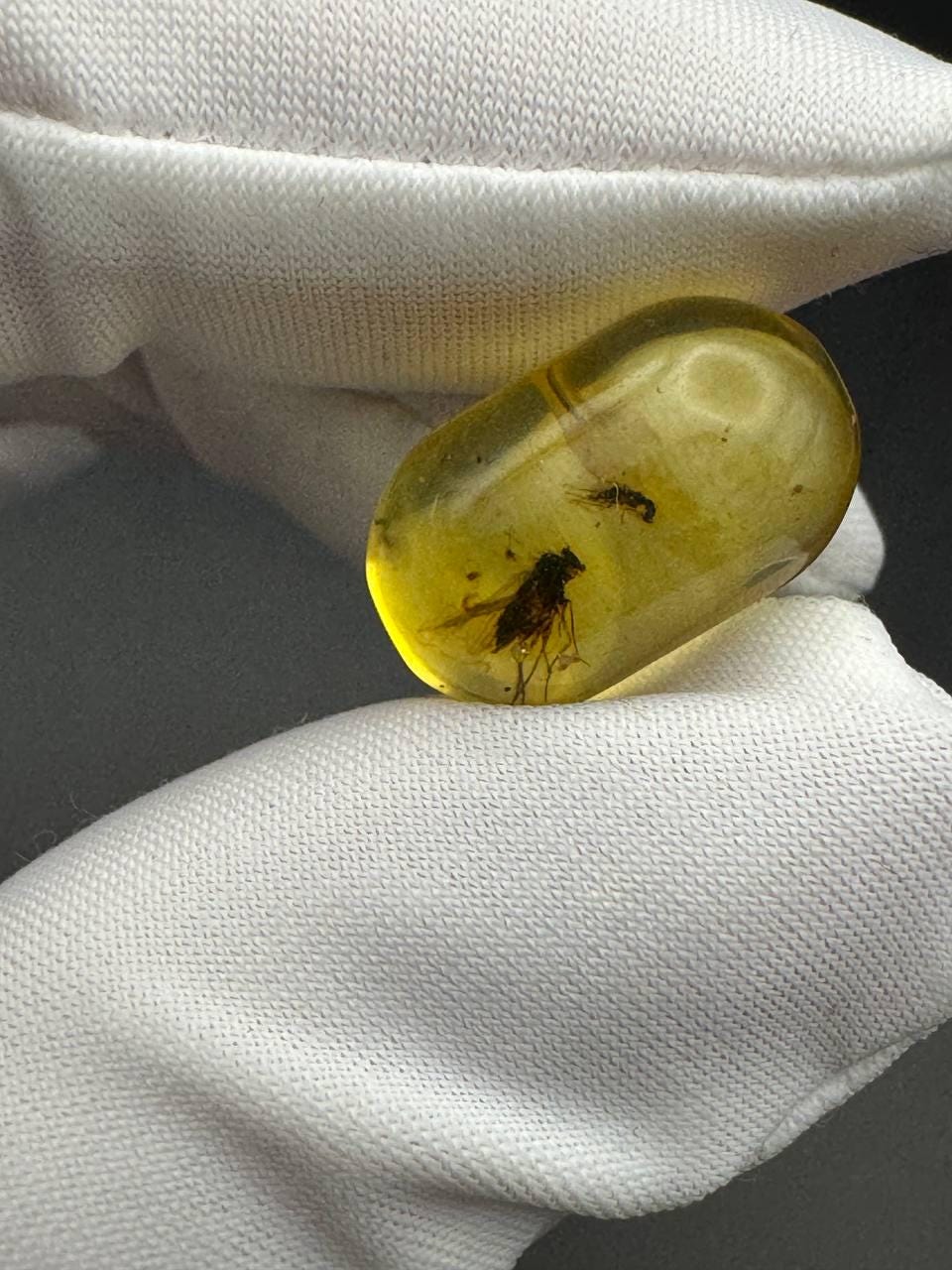 Baltic Amber Stone with Two Insect Inclusions, 19g