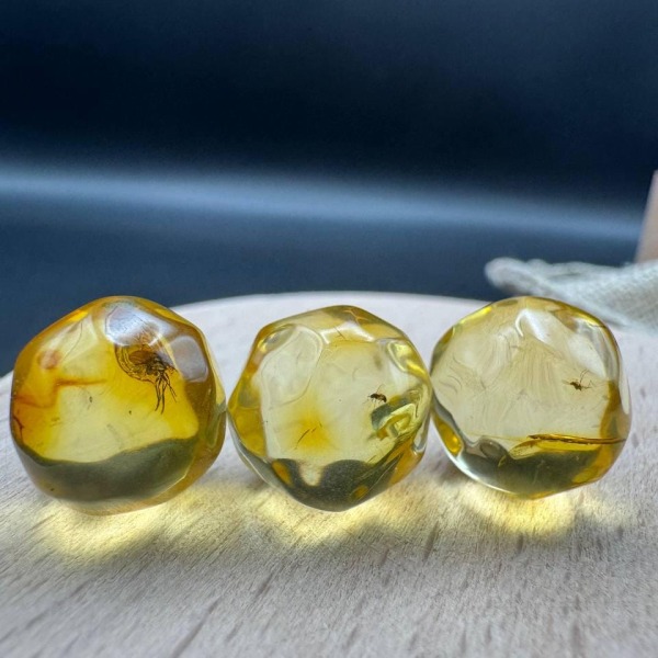 Baltic Amber Spheres with Insect Inclusions, 12mm Set