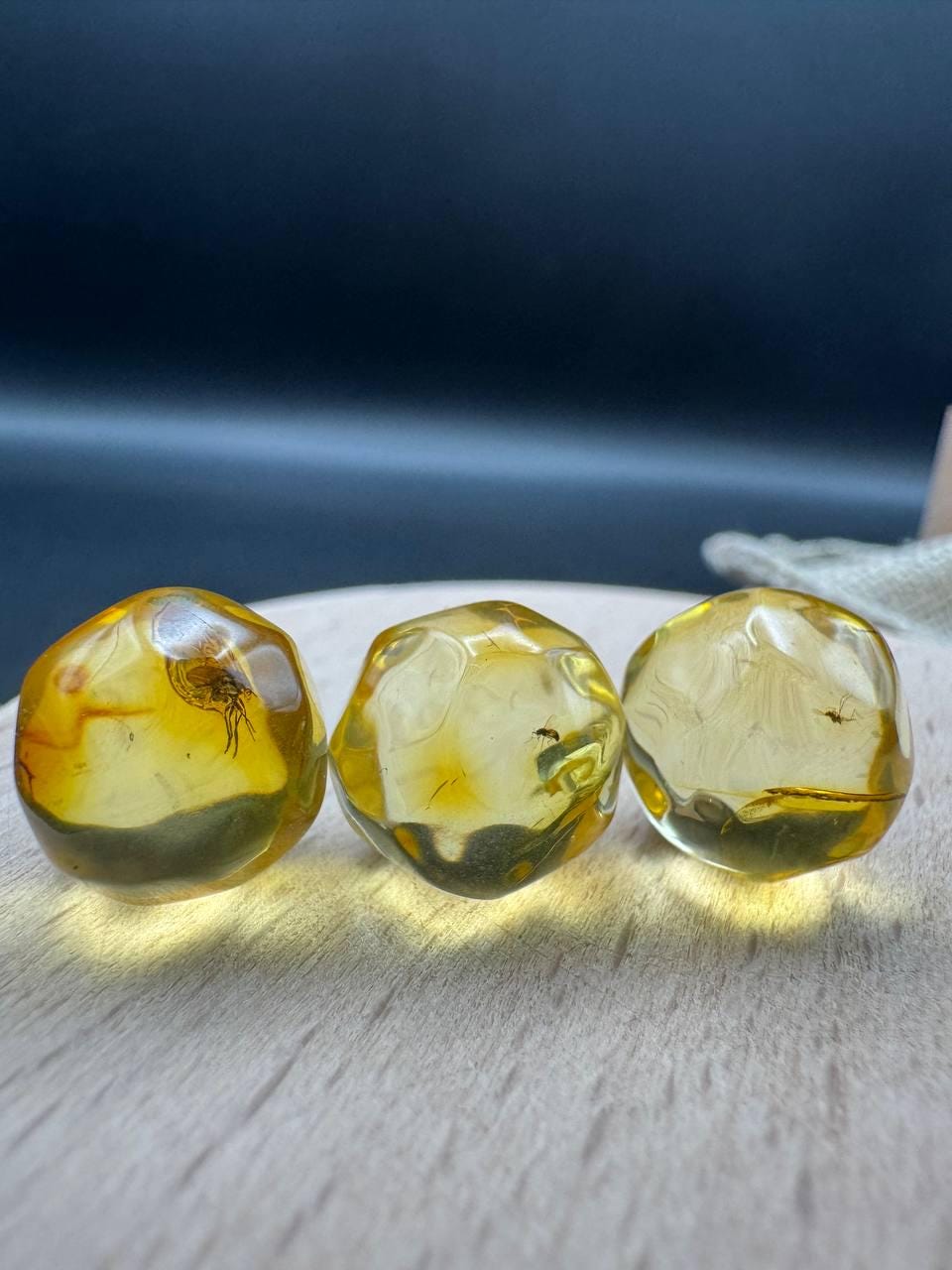 Baltic Amber Spheres with Insect Inclusions, 12mm Set