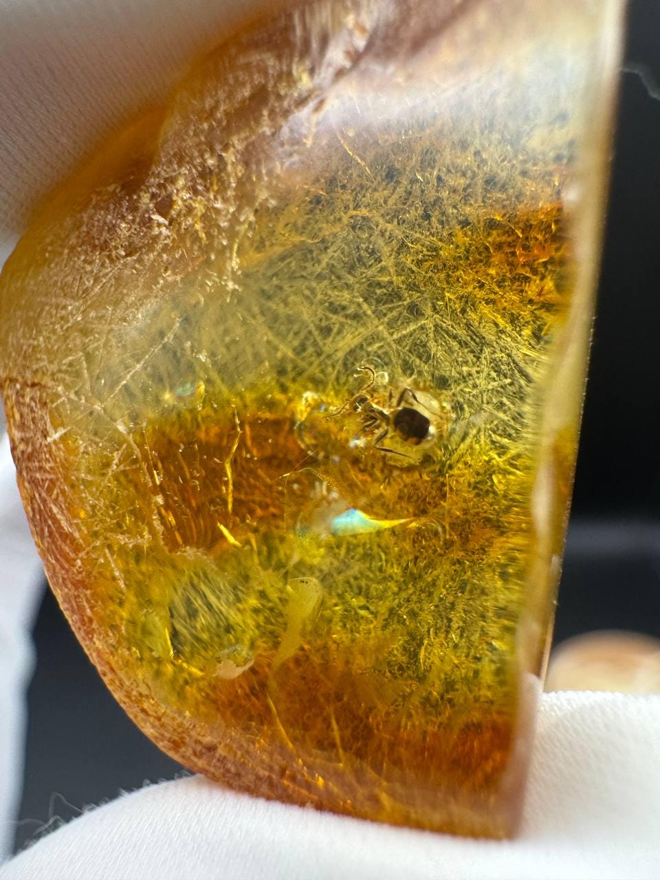 Baltic Amber with Ancient Ant Inclusion, 2.5g