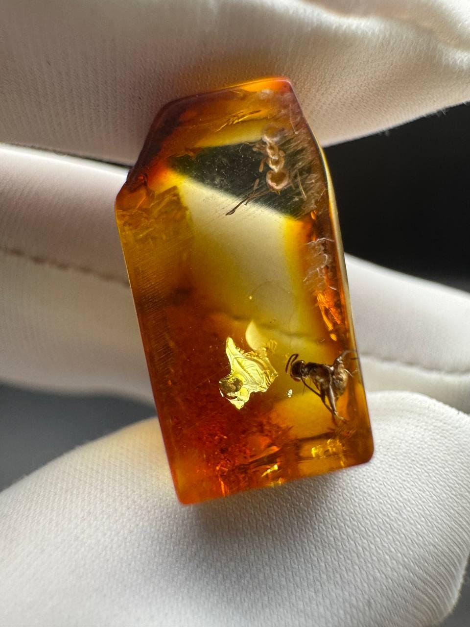 il_fullxfull.7029458762_2vd5.jpg Baltic Amber with Ant Inclusion, Polished Specimen, 1.2g