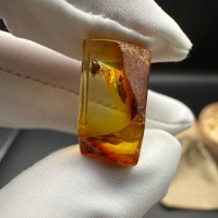 il_fullxfull.7029458764_a09a.jpg Baltic Amber with Ant Inclusion, Polished Specimen, 1.2g