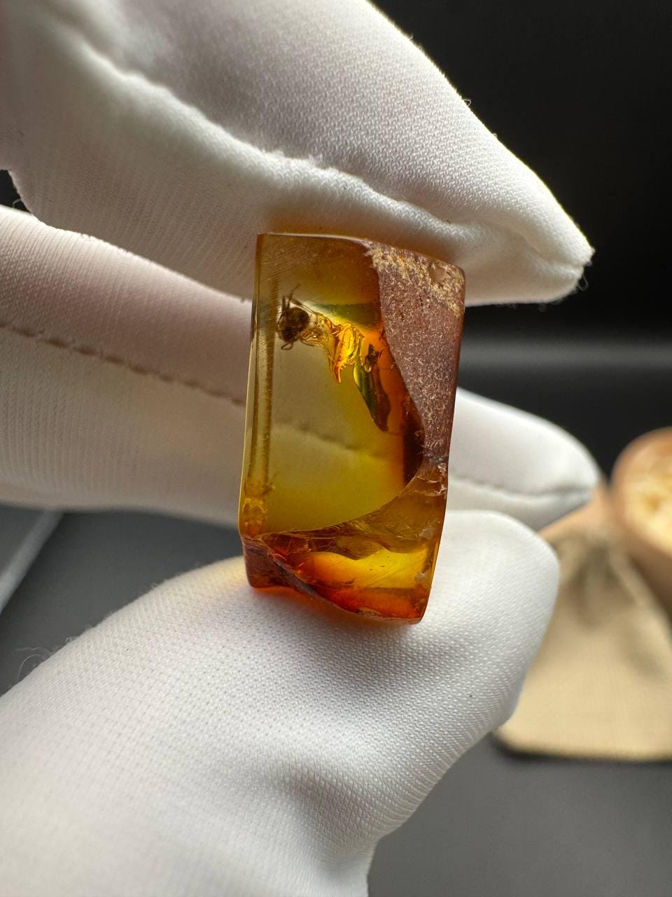 il_fullxfull.7029458764_a09a.jpg Baltic Amber with Ant Inclusion, Polished Specimen, 1.2g