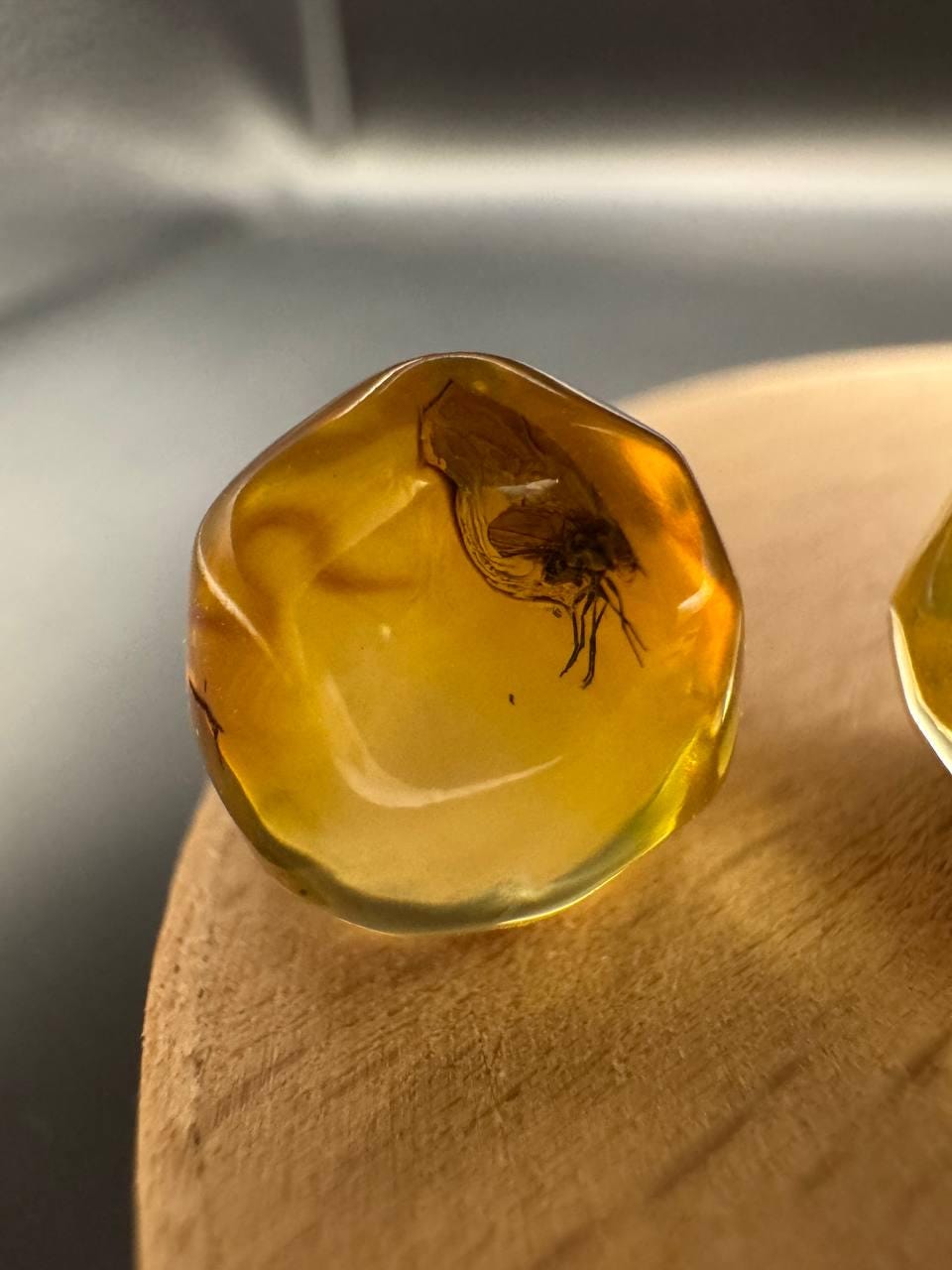 Baltic Amber Spheres with Insect Inclusions, 12mm Set
