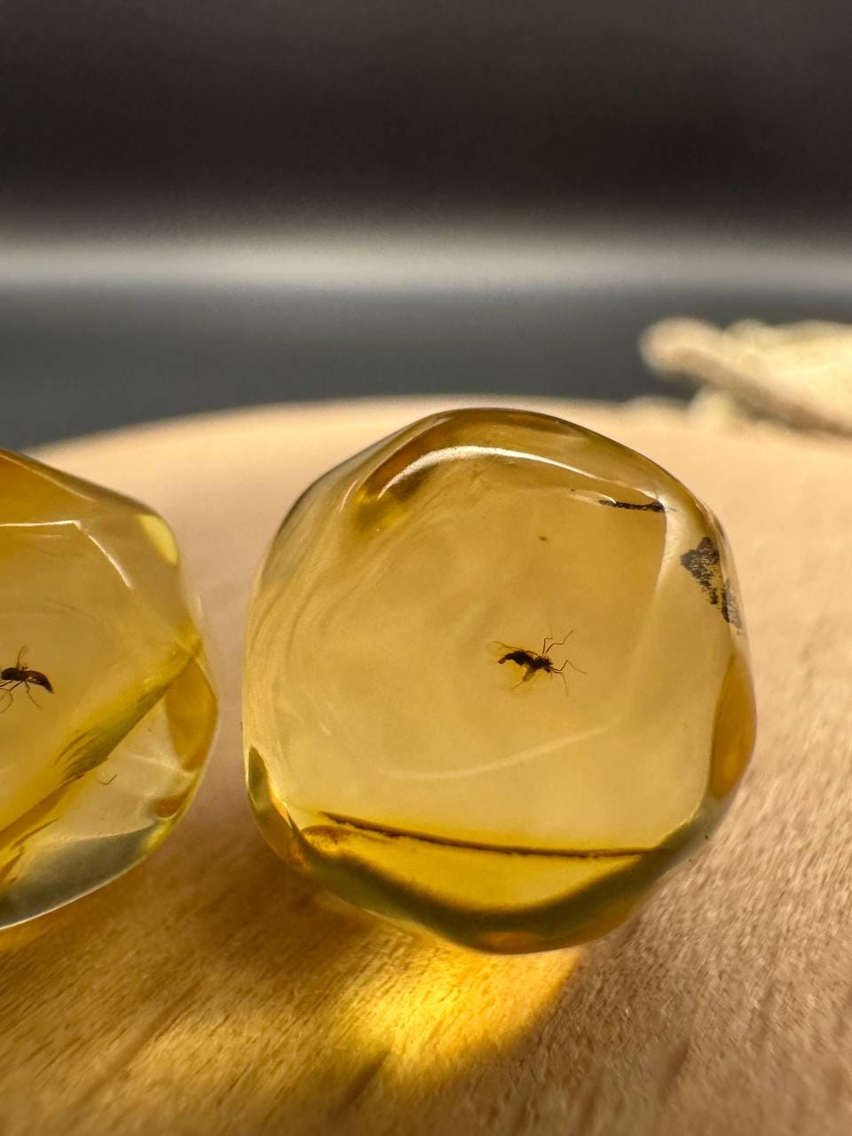 Baltic Amber Spheres with Insect Inclusions, 12mm Set