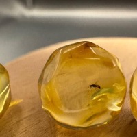 Baltic Amber Spheres with Insect Inclusions, 12mm Set