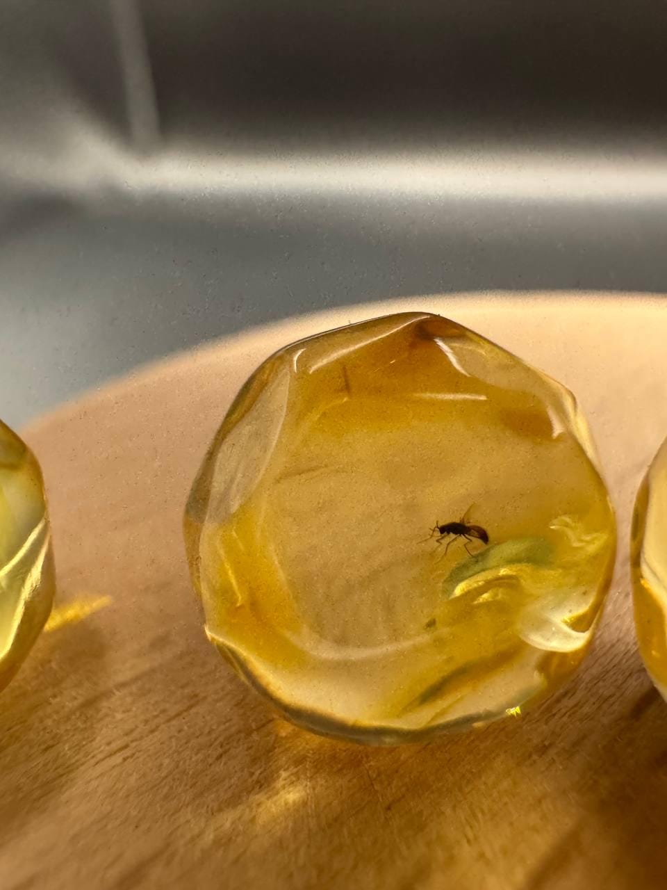 Baltic Amber Spheres with Insect Inclusions, 12mm Set