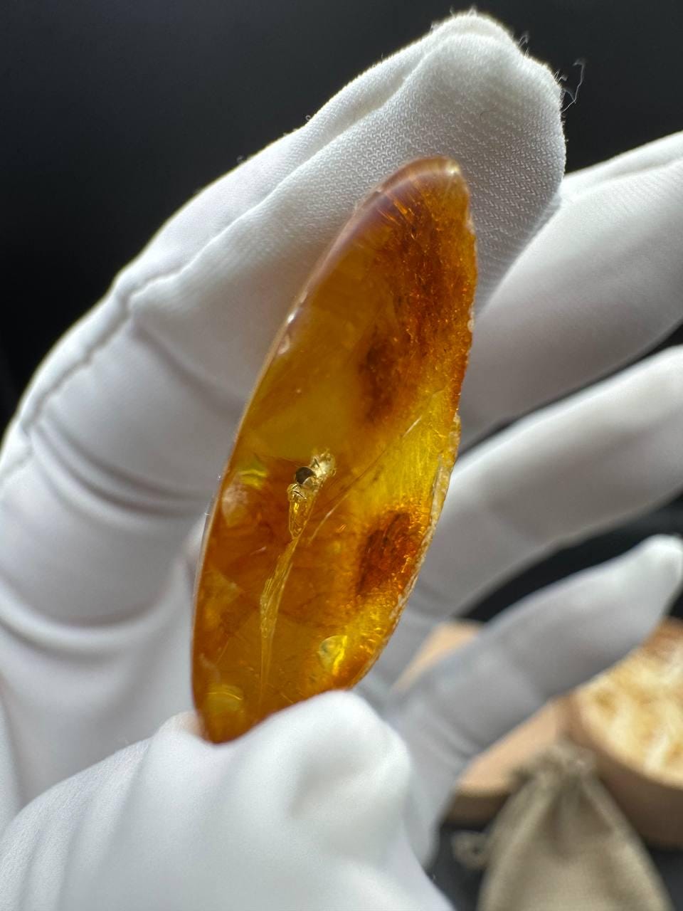 Baltic Amber with Ancient Ant Inclusion, 2.5g