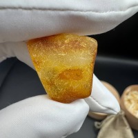 Baltic Amber with Ancient Ant Inclusion, 2.5g
