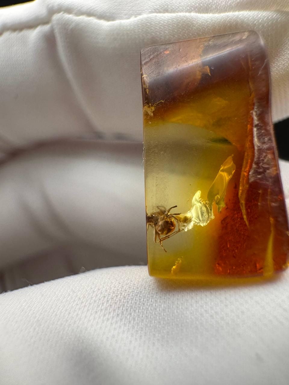 il_fullxfull.7077434959_b0fq.jpg Baltic Amber with Ant Inclusion, Polished Specimen, 1.2g