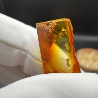 il_fullxfull.7077434985_rr4g.jpg Baltic Amber with Ant Inclusion, Polished Specimen, 1.2g