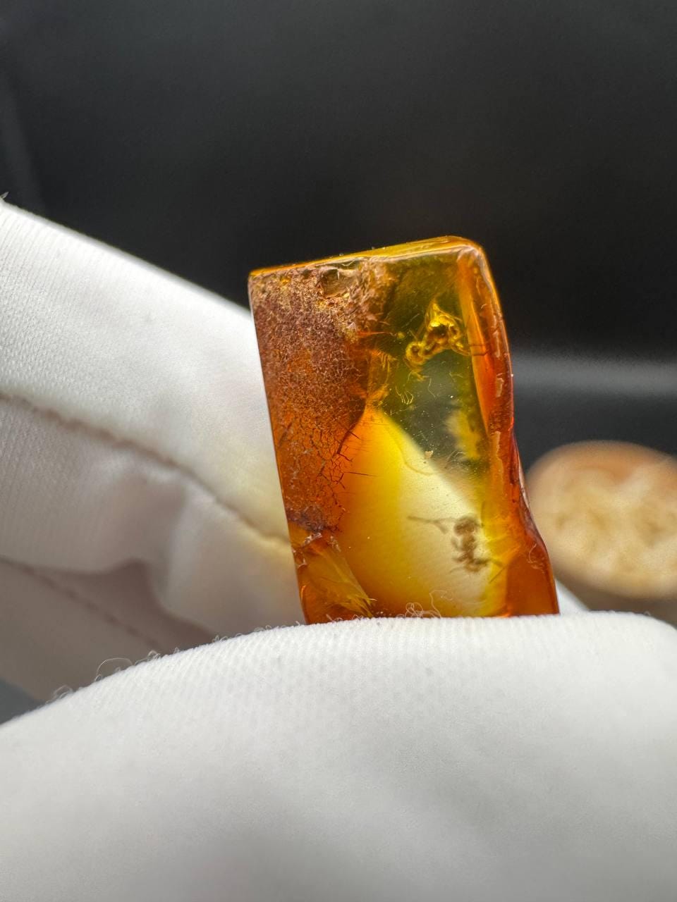 il_fullxfull.7077434985_rr4g.jpg Baltic Amber with Ant Inclusion, Polished Specimen, 1.2g