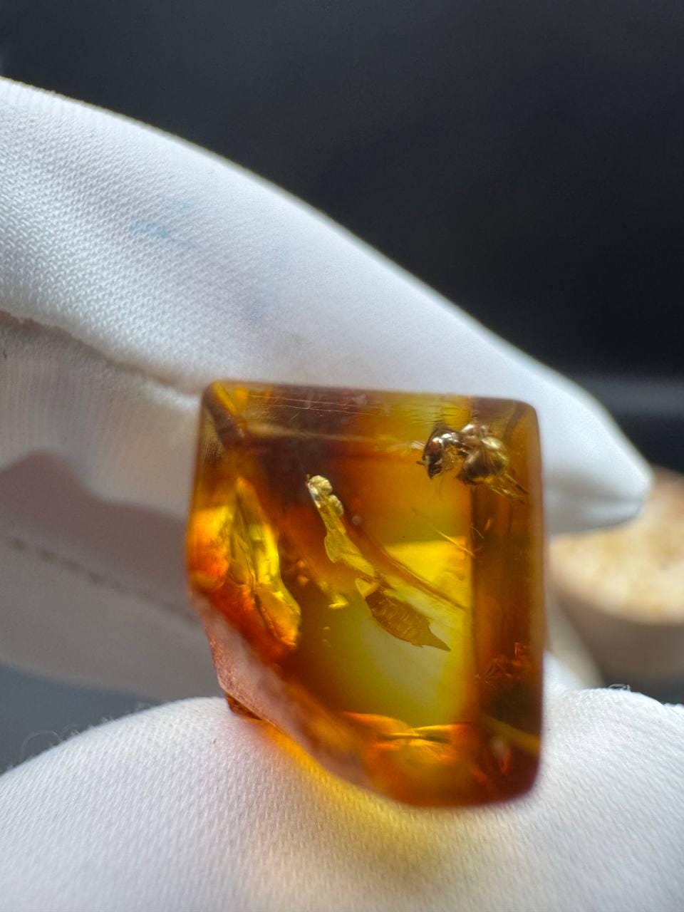 il_fullxfull.7077434995_5s63.jpg Baltic Amber with Ant Inclusion, Polished Specimen, 1.2g