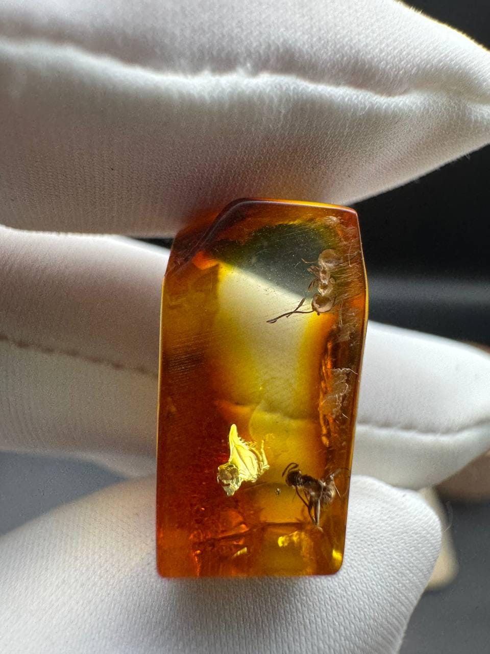 il_fullxfull.7077435005_oqih.jpg Baltic Amber with Ant Inclusion, Polished Specimen, 1.2g