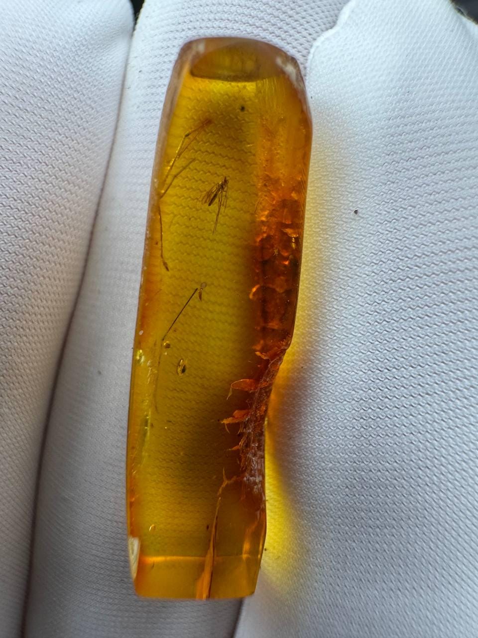 Baltic Amber with Gnat Inclusion, Golden Specimen, 1.3g