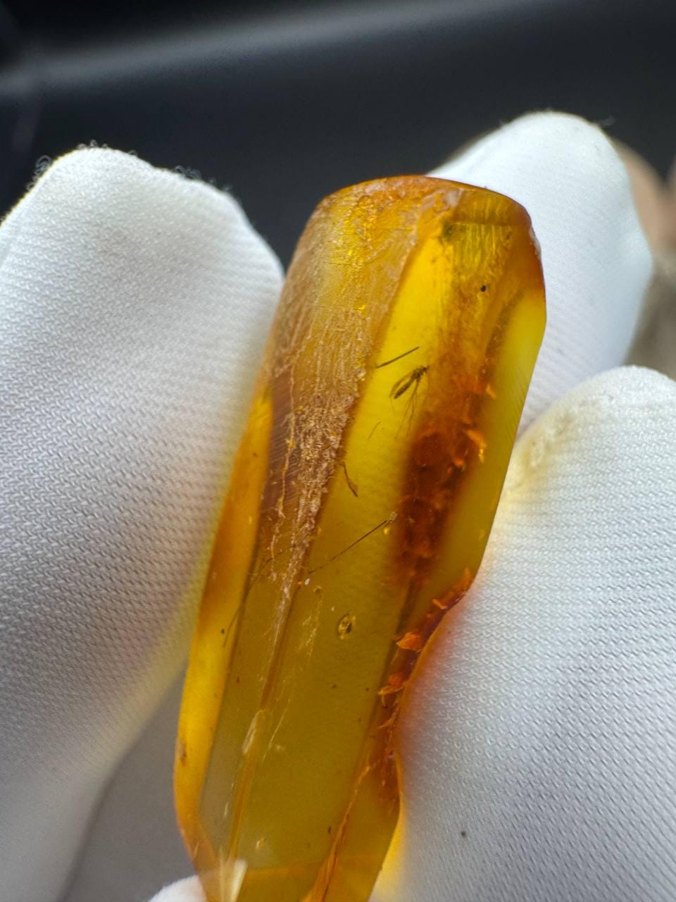 Baltic Amber with Gnat Inclusion, Golden Specimen, 1.3g