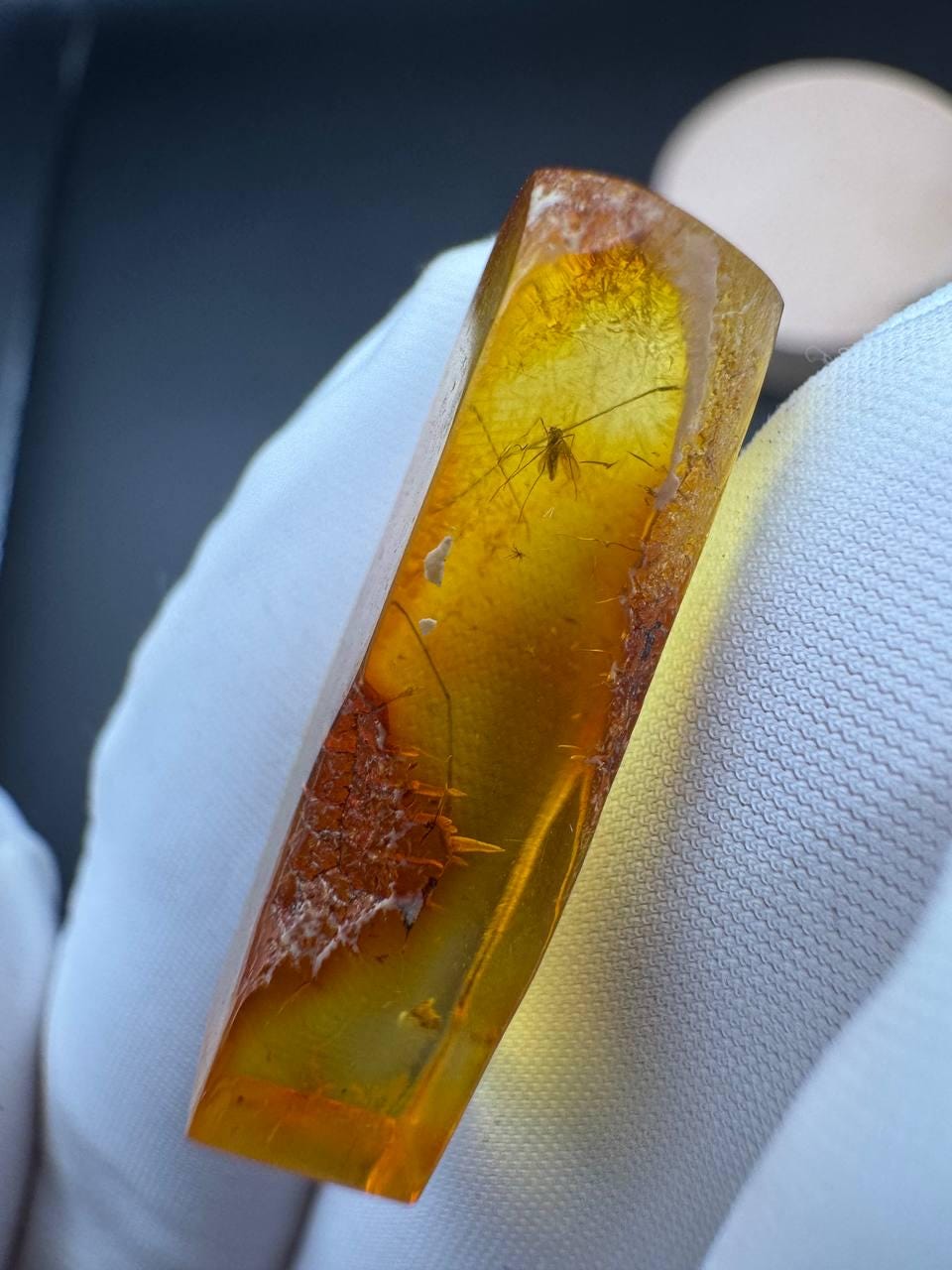 Baltic Amber with Gnat Inclusion, Golden Specimen, 1.3g