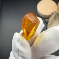 Baltic Amber with Gnat Inclusion, Golden Specimen, 1.3g