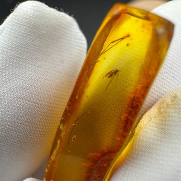 Baltic Amber with Gnat Inclusion, Golden Specimen, 1.3g