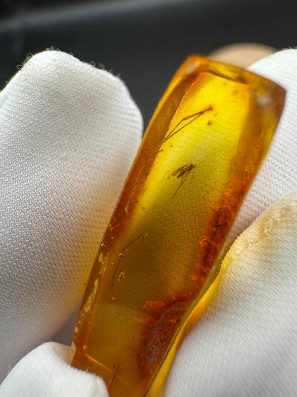 Baltic Amber with Gnat Inclusion, Golden Specimen, 1.3g