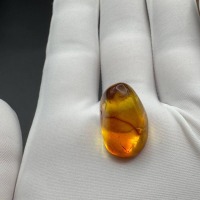 Baltic Amber with Insect Inclusion, Honey Yellow Specimen, 3g