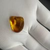 Baltic Amber with Insect Inclusion: Fossilized Honey-Yellow Gemstone