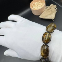Baltic Amber Bracelet with Earth Inclusions, Adjustable, 20g