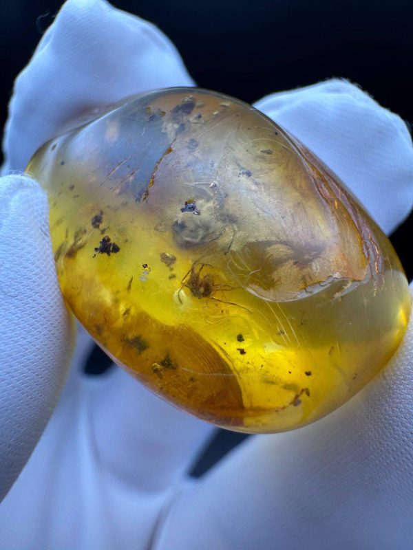 Large Baltic Amber with Insects: Spiders & Ant Fossil Inclusion