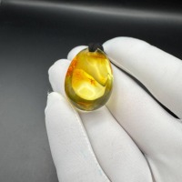 il_fullxfull.7375006272_4uh1.jpg Transparent Honey Baltic Amber Pendant, 38mm, 8.6g